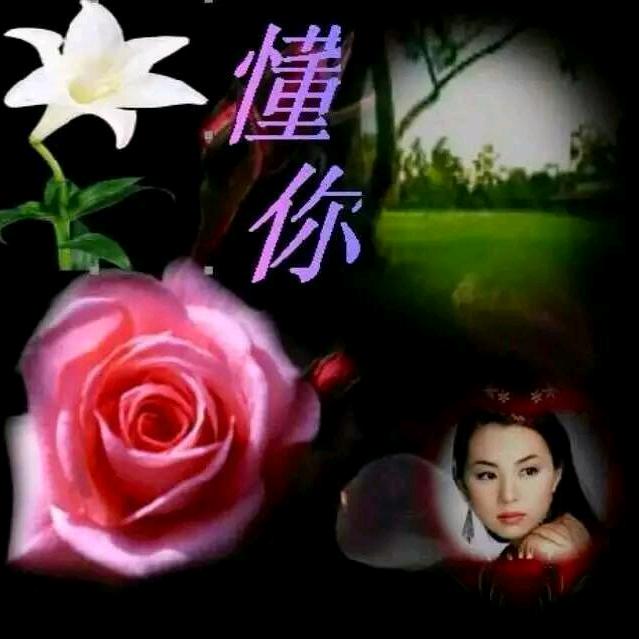 赵蕤