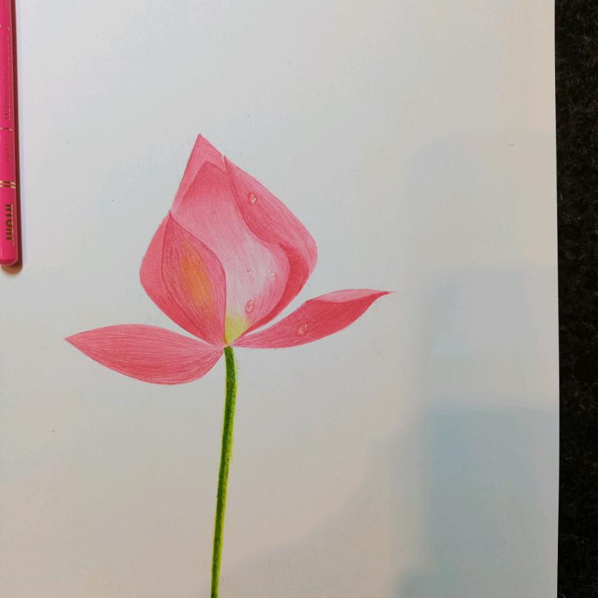 阳阳妈妈