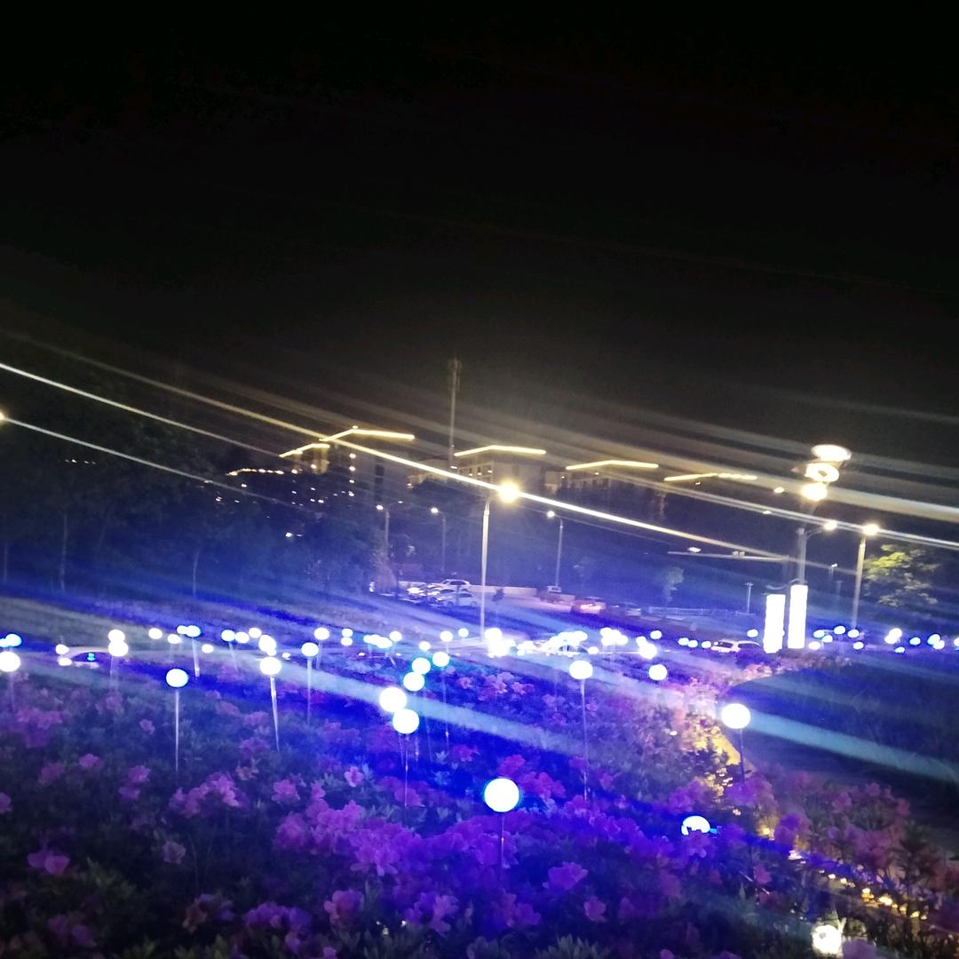 足迹遍布广信城区