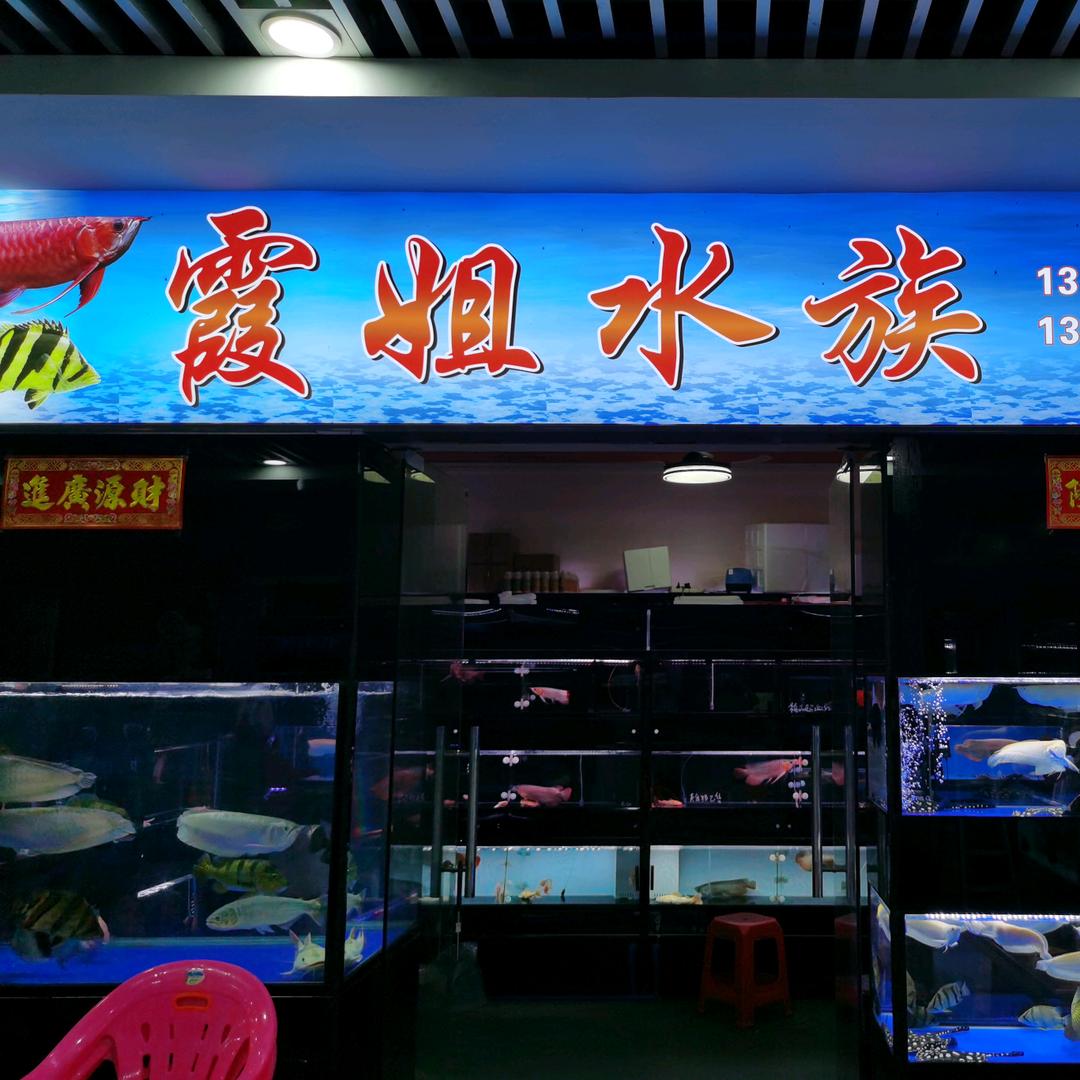 霞姐观赏鱼店