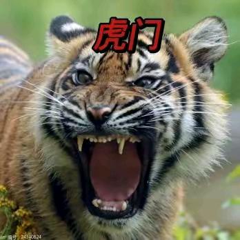 👑🐬.孙行者👑1687
