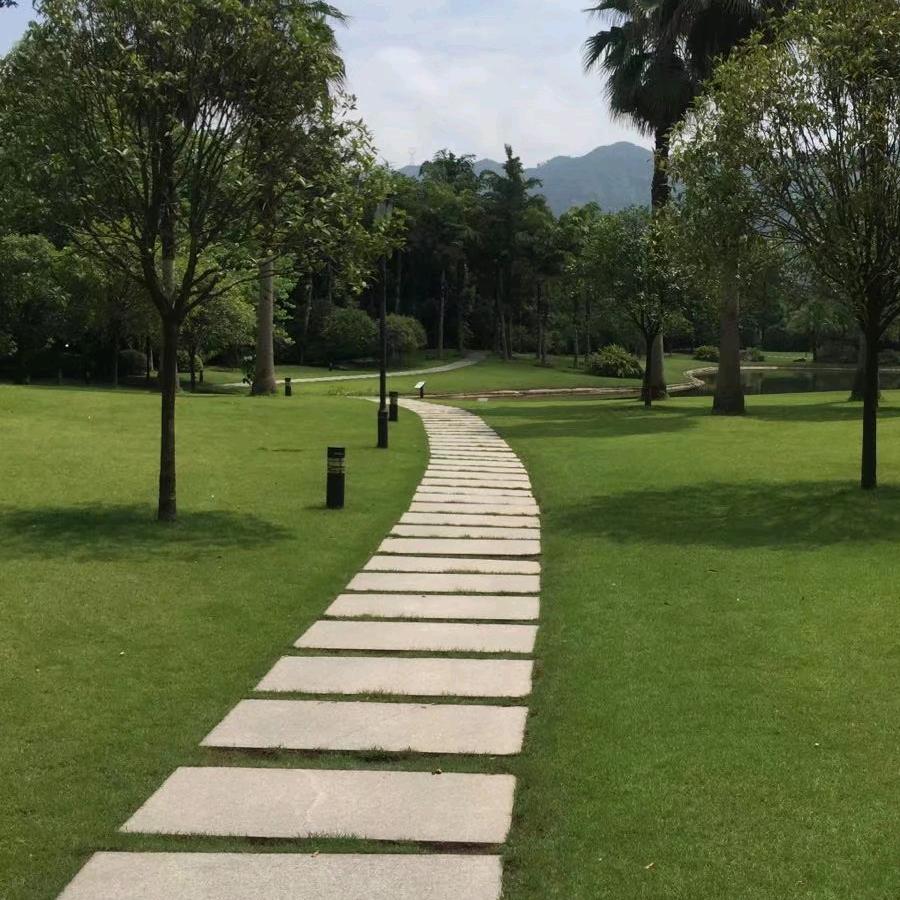 快人快渔！！！