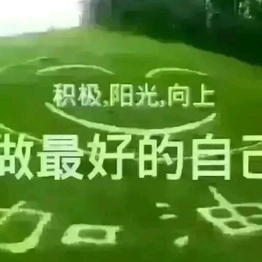 走四方走四方