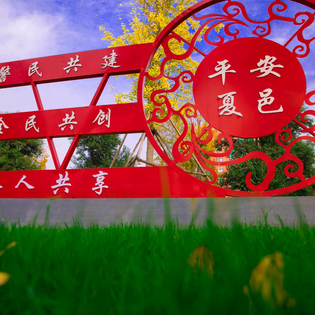影像夏邑刘和平