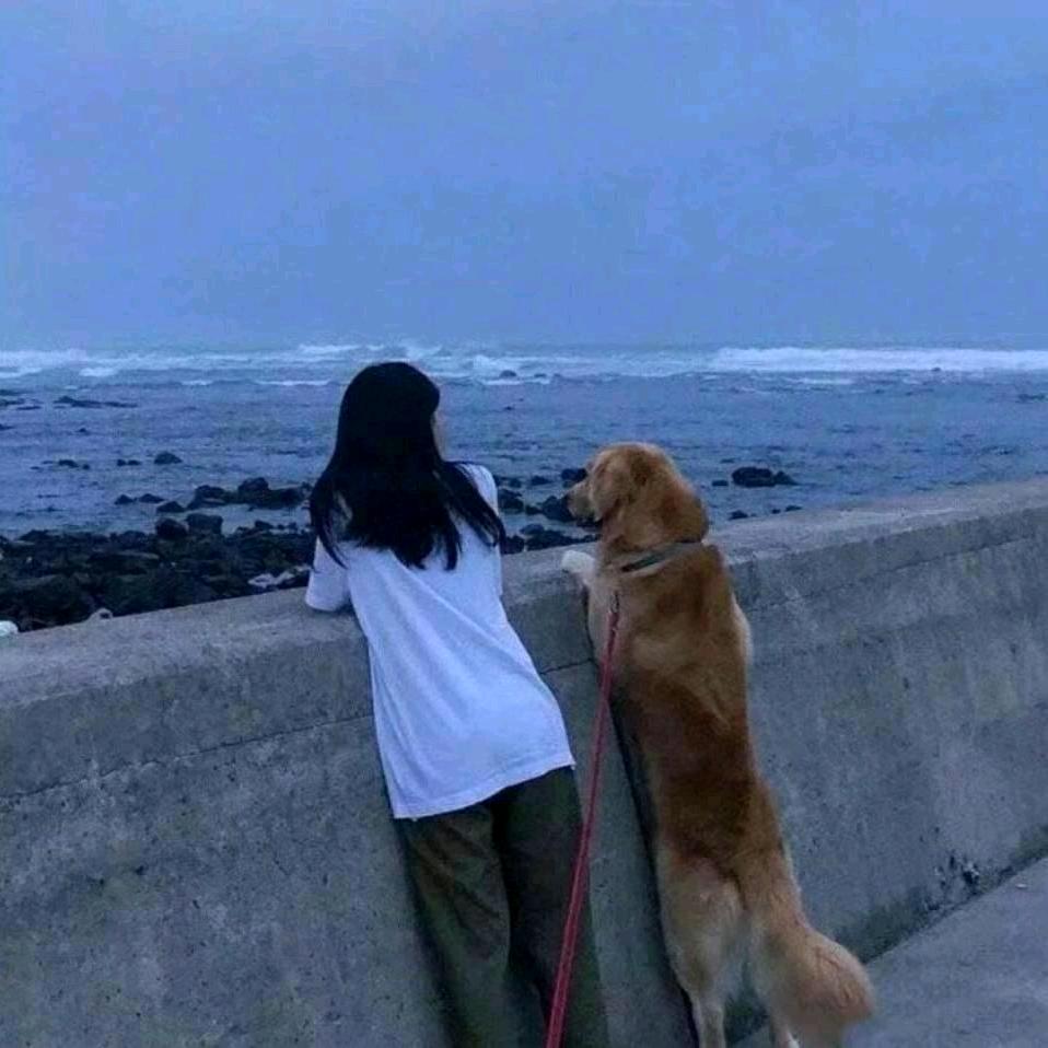 陳陈爱追剧