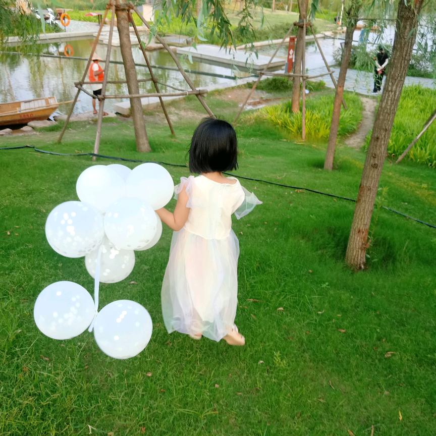 子非鱼