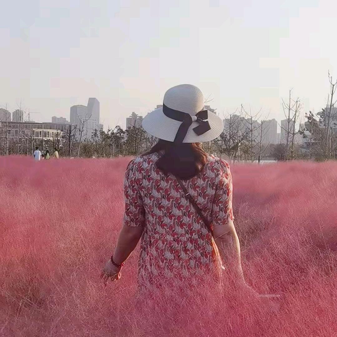 恰恰爱分享