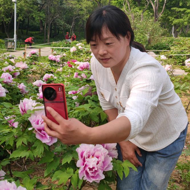 临朐蒋峪东方家电