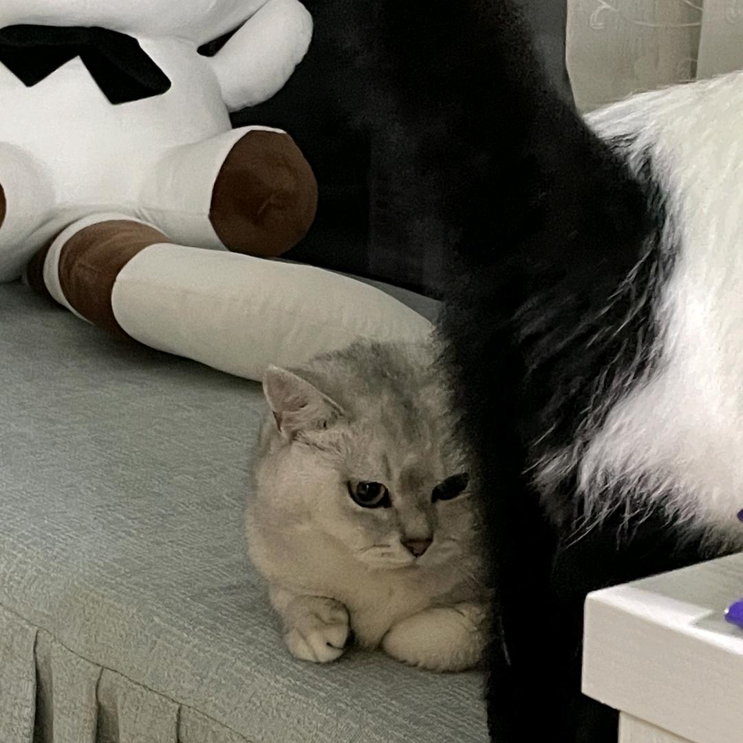 盼月亮🌙
