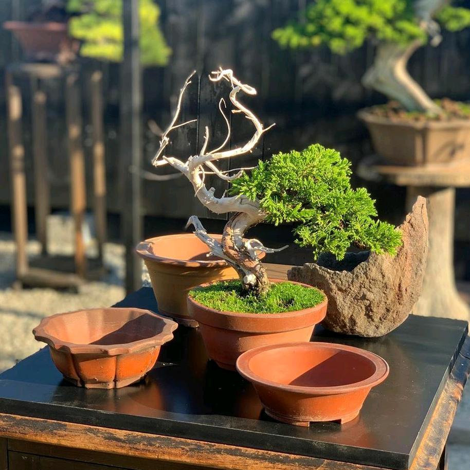花见园艺