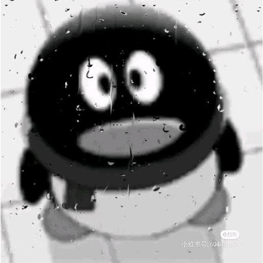 少爷奴来了