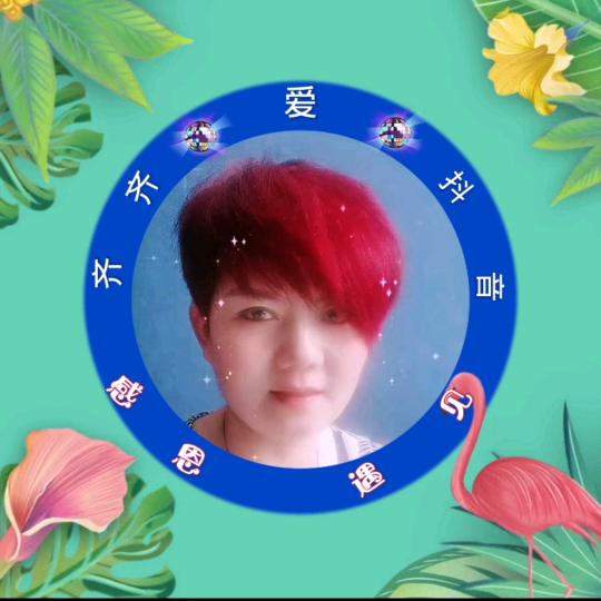 齐齐