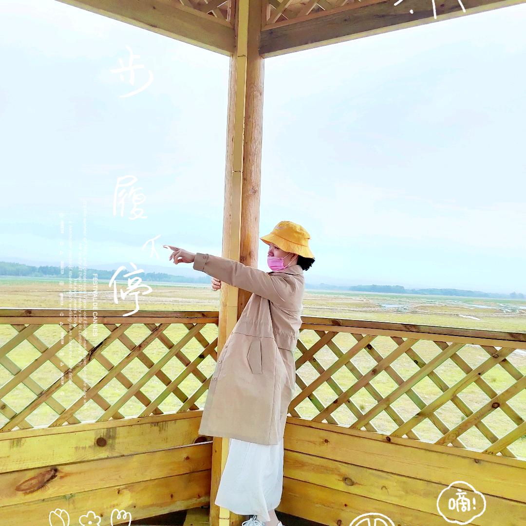 勇往直前Ծ‸Ծ