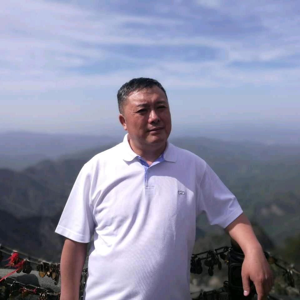 展鹏书法