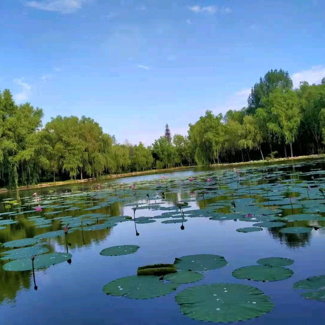 行走江湖