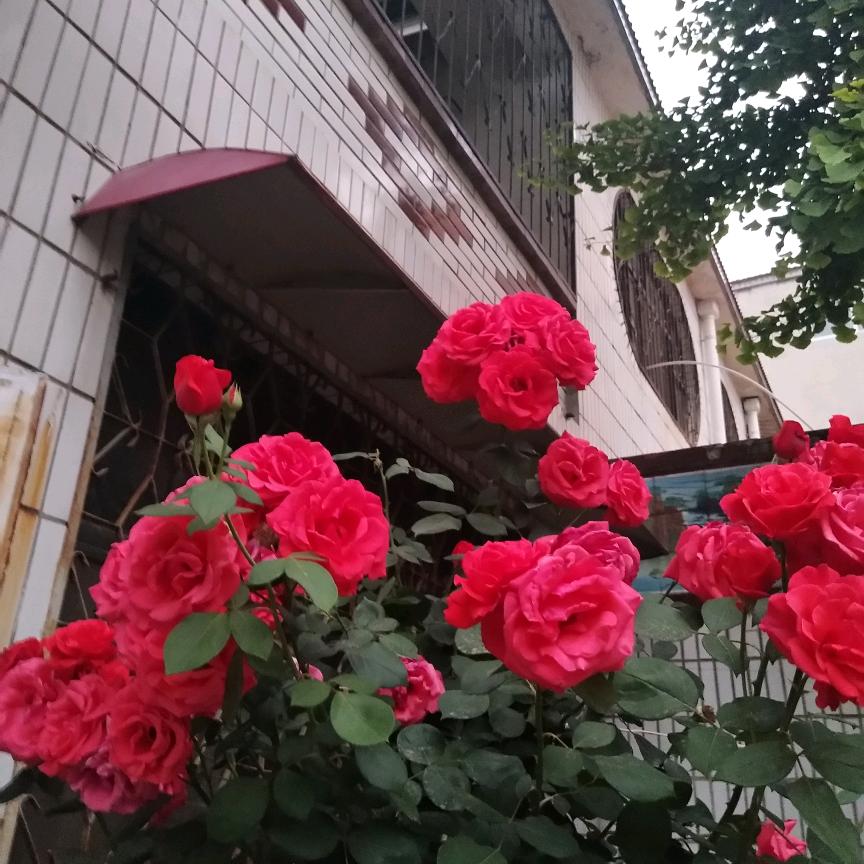 伴夏时光