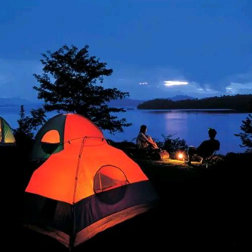 芩铛男装专营店8直播