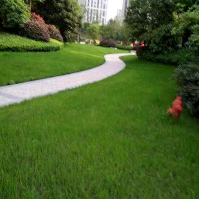 你好1111