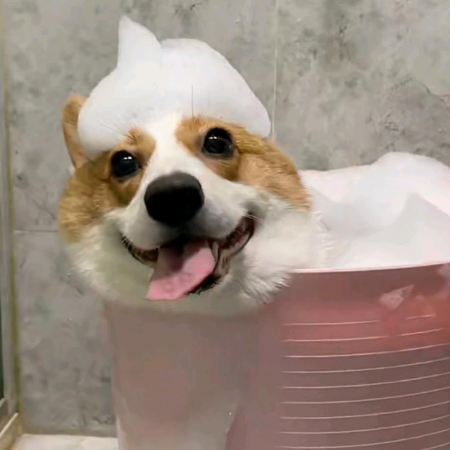 是小奇呐