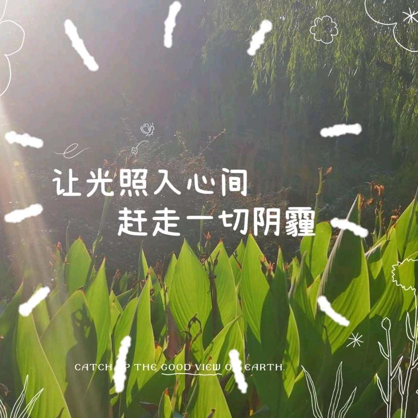 磐石根基