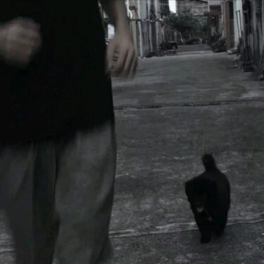 芸芸众生之一☘️