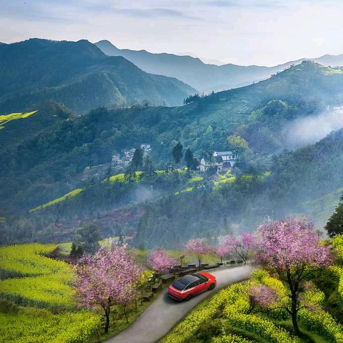 半清醒,半努力
