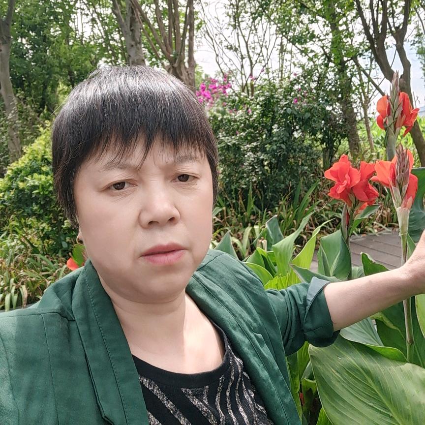 罗姐姐