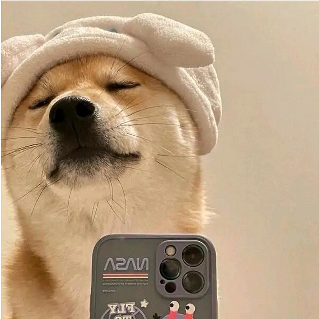 懒懒懒大王