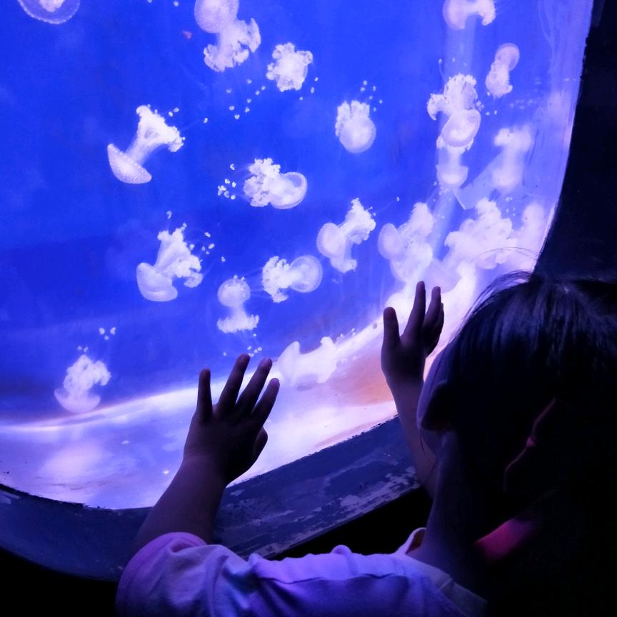 心情在別處
