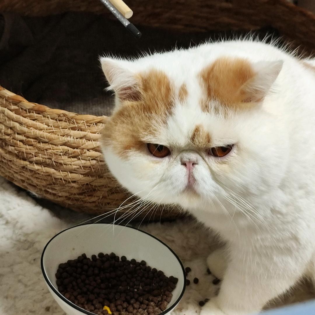 ？
