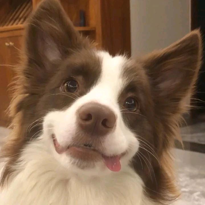 熠煊