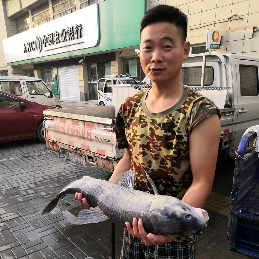 🐟双沟渔行 🐟（收渔货）