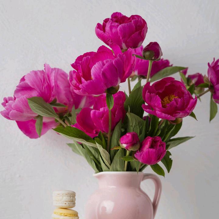 ✿小阮🌱家乡🌿(✿^‿^)