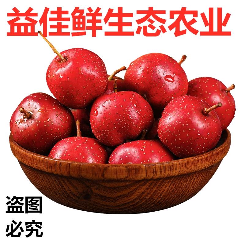 山楂批发，全年有货，量大从优！