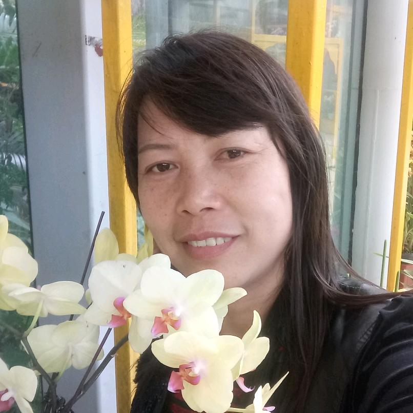 朵朵桃花
