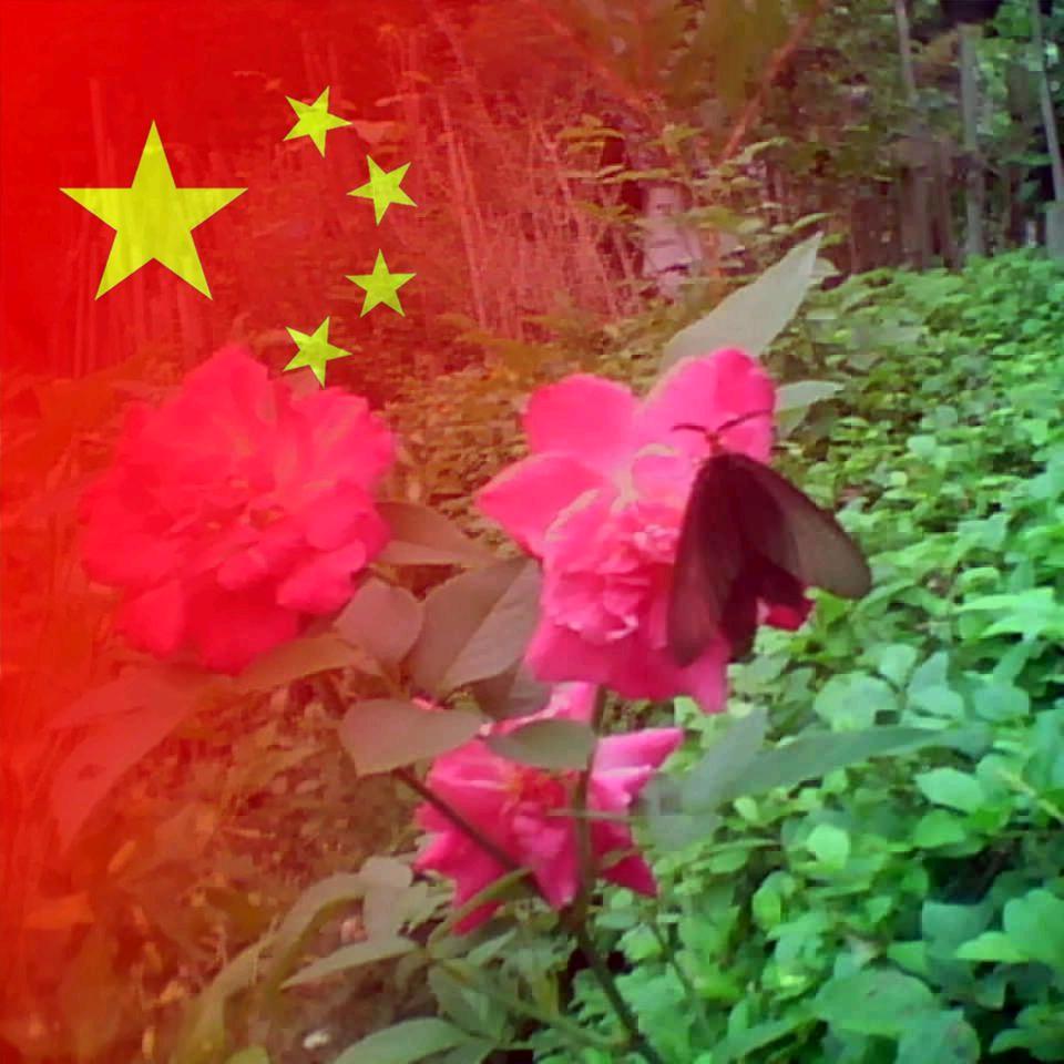 大黄蜂168