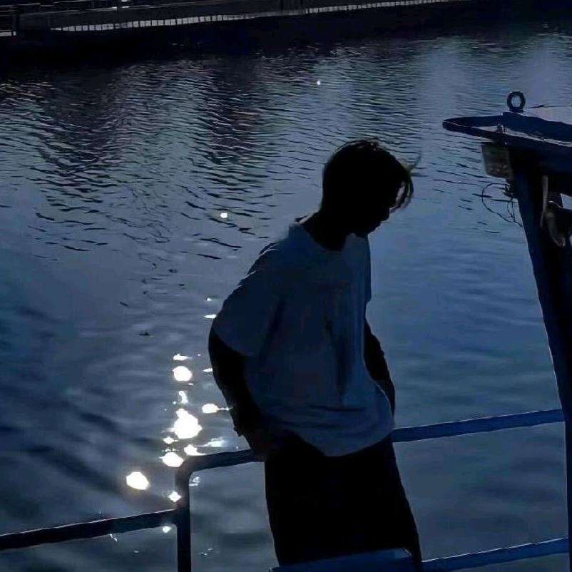 林林4