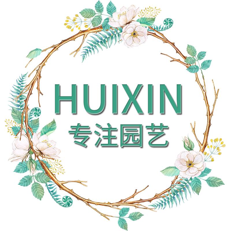 卉馨园艺旗舰店