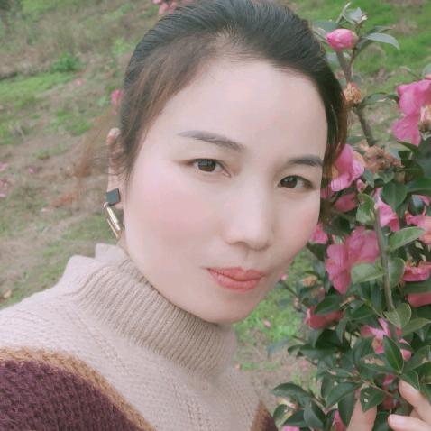 朱家老四