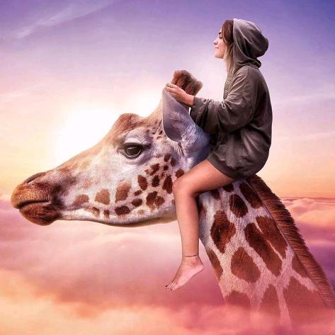 旦旦（收售群羊）