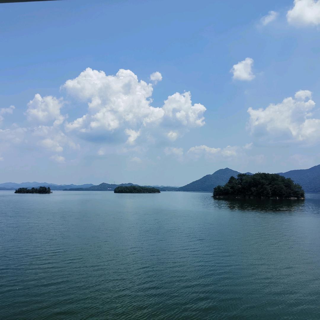 北极猫