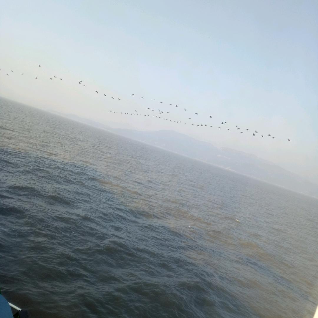 劈波斩浪