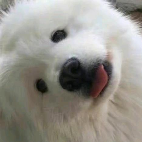 公主的恶龙咆哮