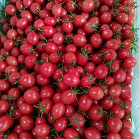 吴川千禧哥（善）