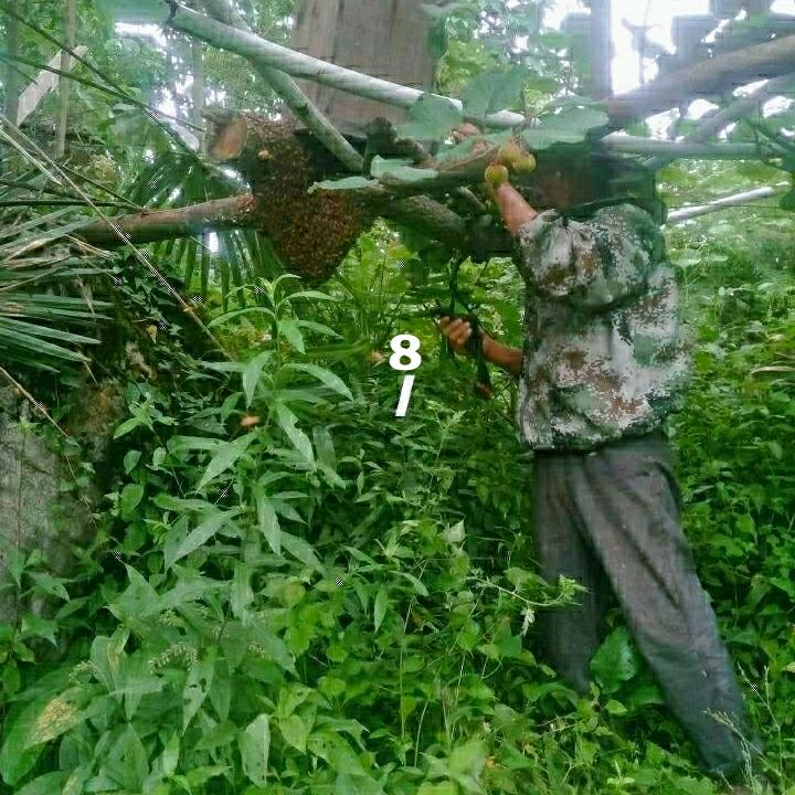 😊️😊️刁一邓`一一