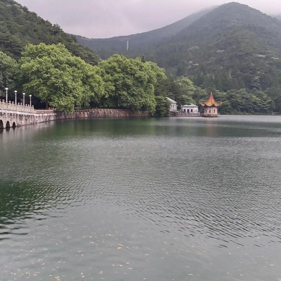 姚哥