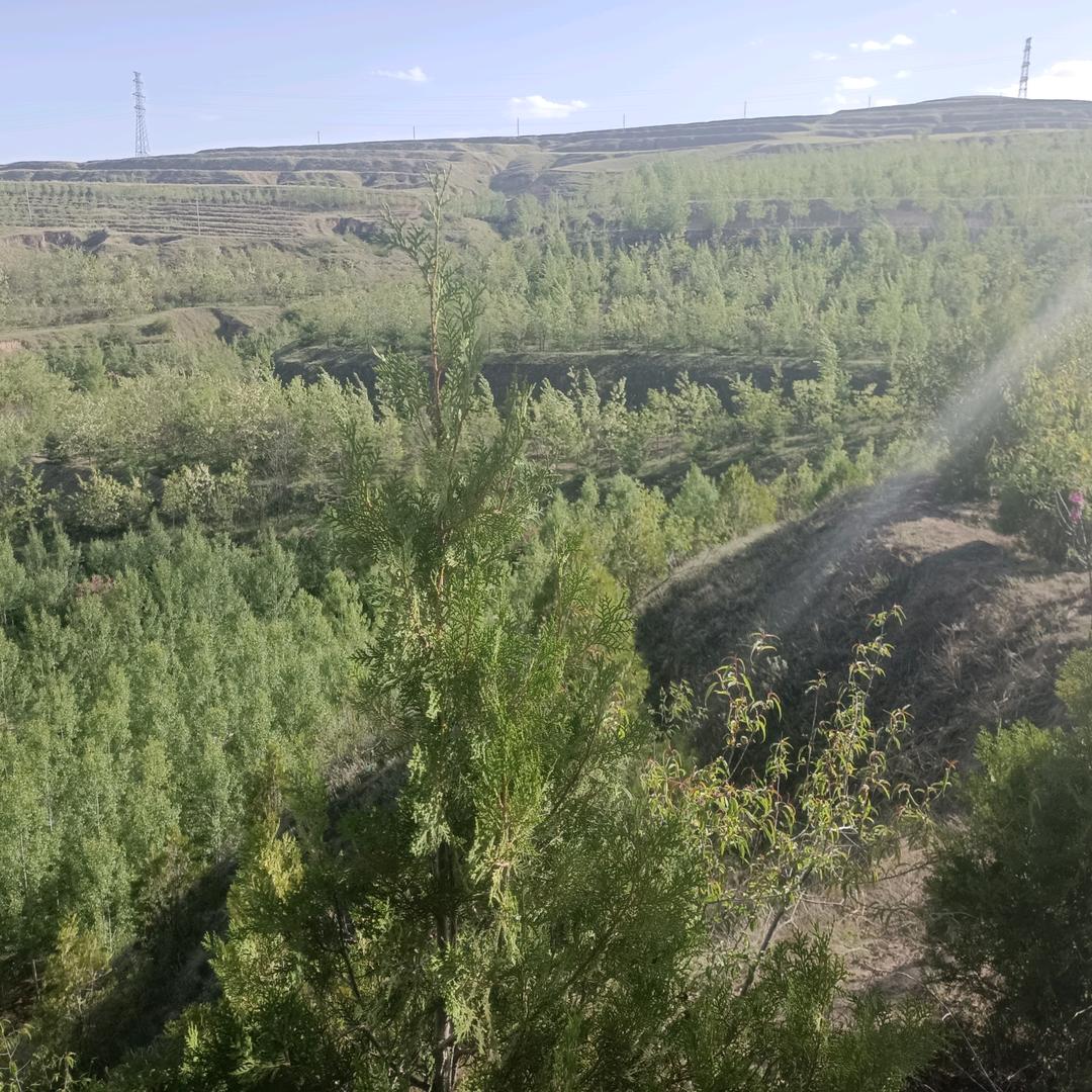 梦想成真！！！！