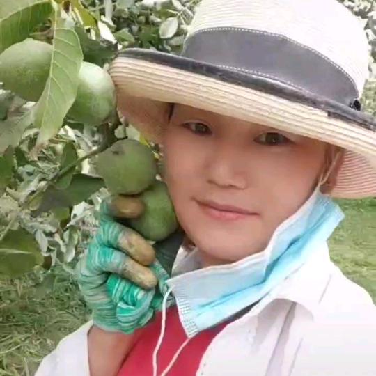国荣农业