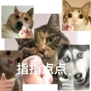 国际友人王德发