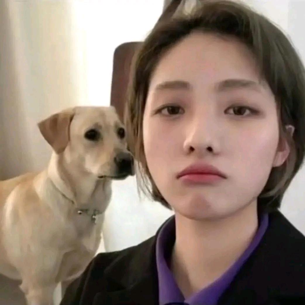 @一杯冰美式~